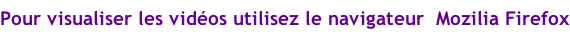 Pour visualiser les vidéos utilisez le navigateur  Mozilia Firefox